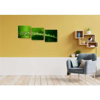 Vászonkép "Harmatcseppek" 3 részes