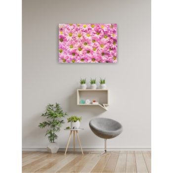 Vászonkép "Rózsaszín virág"