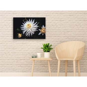 Vászonkép "Krizantém"