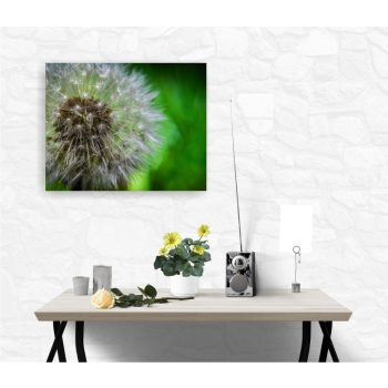 Vászonkép "Pitypang"