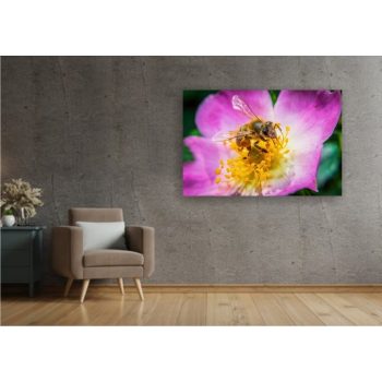 Vászonkép "Méhecske virágon"