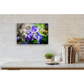 Vászonkép "Ibolya"