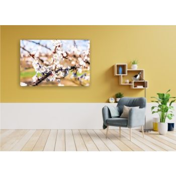 Vászonkép "Barackvirág"