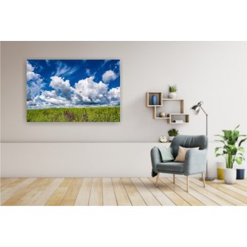 Vászonkép "Vadvirág"